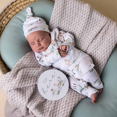 Baby Growsuit - Duck Pond Organic Growsuit
