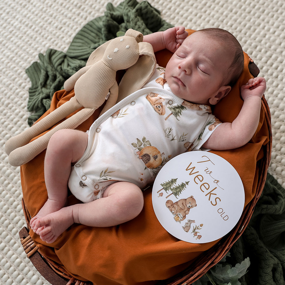 Bears Short Sleeve Organic Kimono Bodysuit - View 8