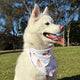 Christmas Pups Dog Bandana - Thumbnail 7