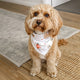 Christmas Pups Dog Bandana - Thumbnail 5