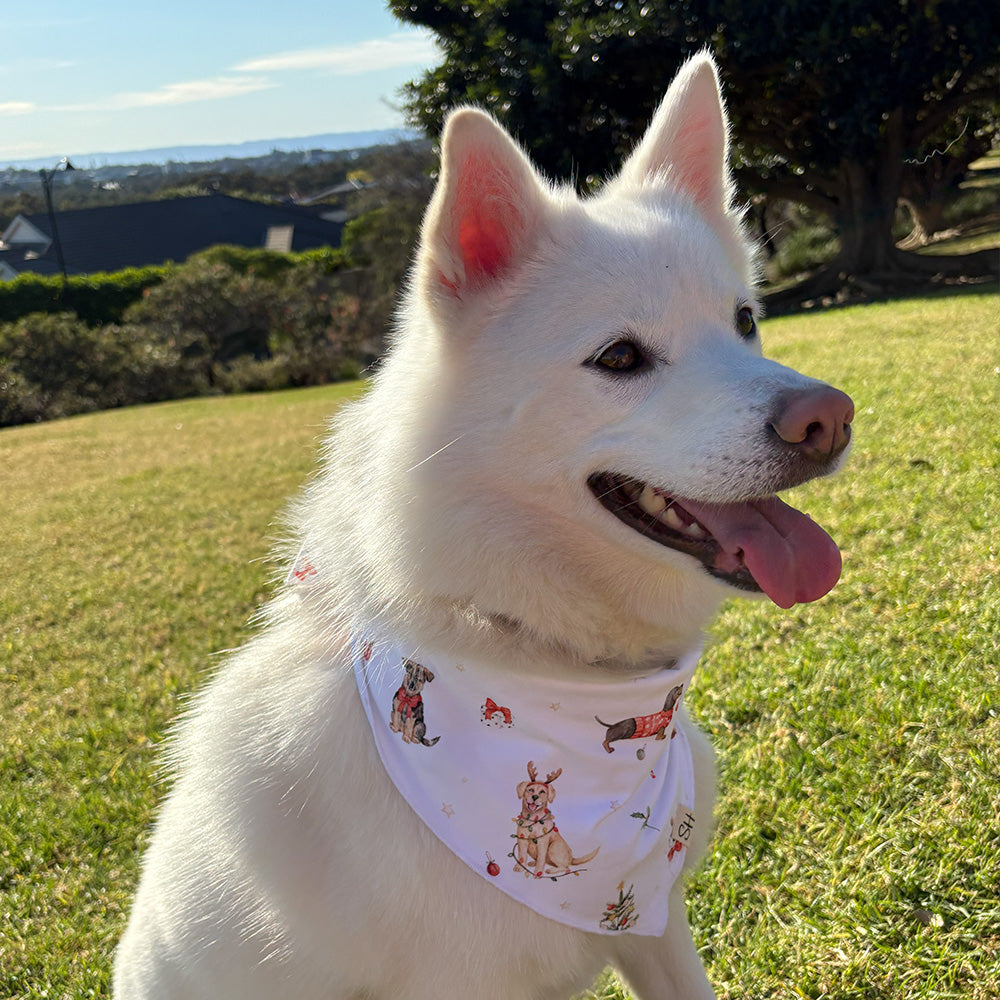 Christmas Pups Dog Bandana - View 12