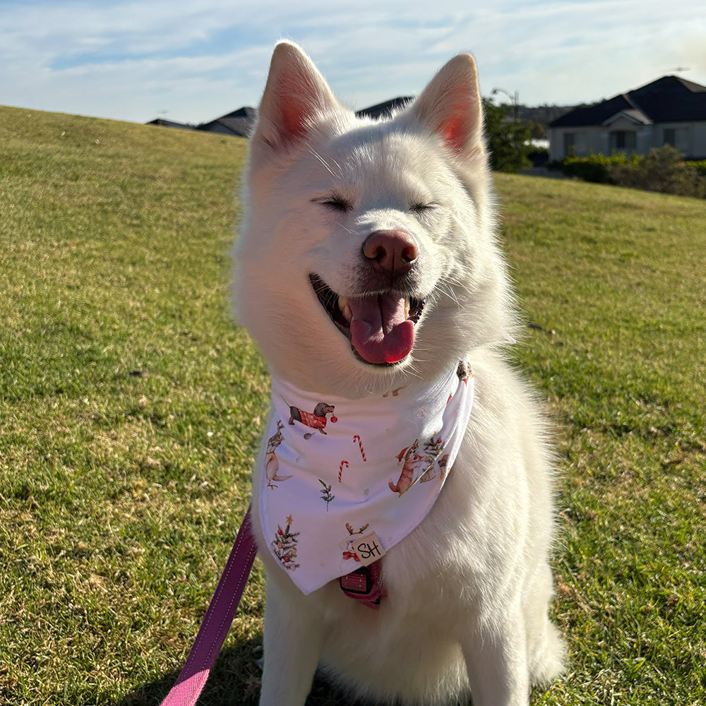 Christmas Pups Dog Bandana - View 3