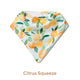 Organic Dribble Bib 3 Pack - Pick Your Prints - Thumbnail 10