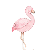 Flamingos, Ice Creams & Sofia