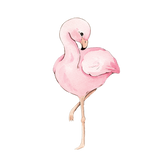 Flamingos, Ice Creams & Sofia
