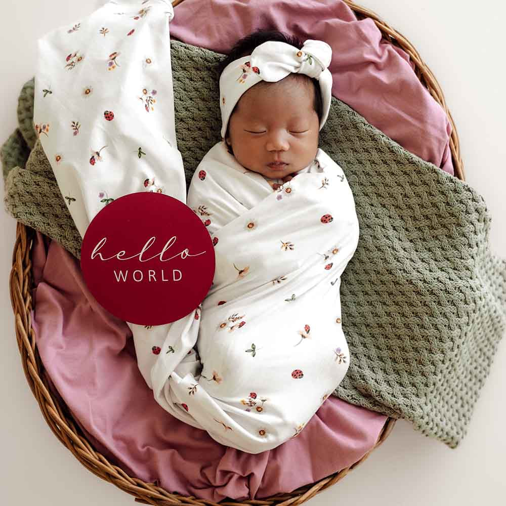 Ladybug Jersey Wrap Birth Announcement Set - View 3