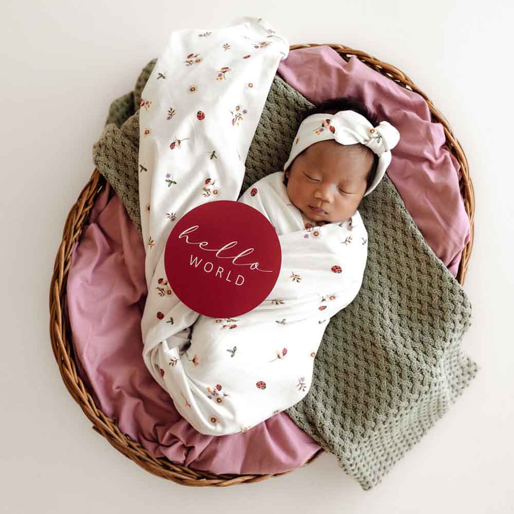 Ladybug Jersey Wrap Birth Announcement Set - View 4