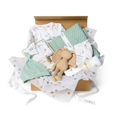 Luxury Newborn Gift Hamper - Duck Pond | Snuggle Hunny