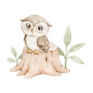 New Secret Garden Prints