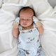Taking Flight Organic Cotton Mittens - Thumbnail 4