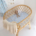 Taking Flight Organic Bassinet Sheet / Change Pad Cover | Snuggle Hunny