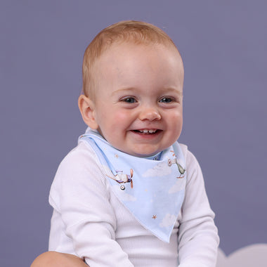 Taking Flight Organic Dribble Bib | Snuggle Hunny